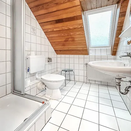 7033 Kornblume Og Links Kellenhusen