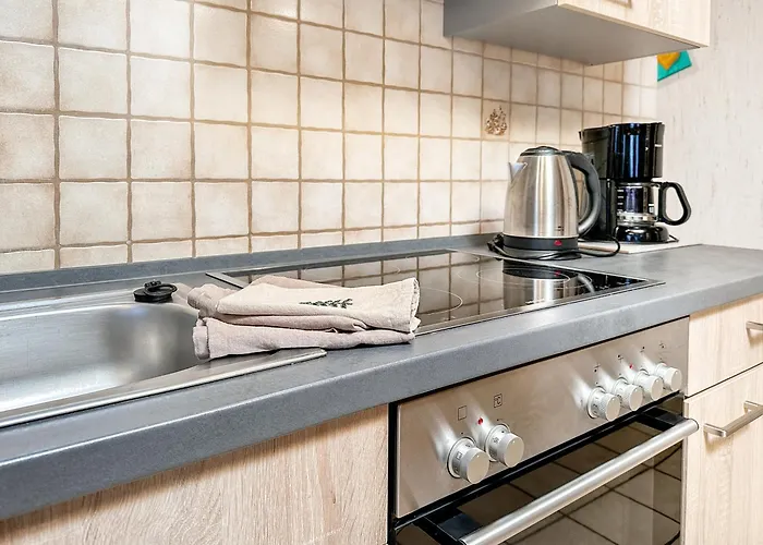 7033 Kornblume Og Links